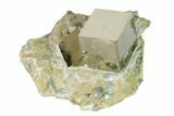 Natural Pyrite Cube In Rock - Navajun, Spain #152295-2